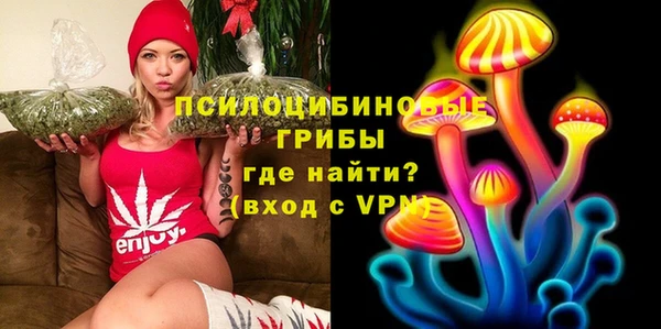jwh Белокуриха